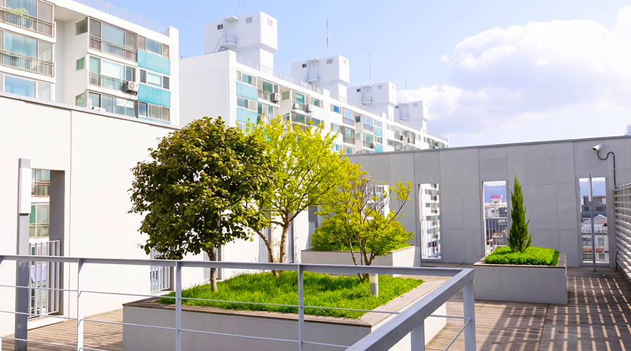 annexbuilding_7F_Rooftopgarden2