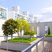 annexbuilding_7F_Rooftopgarden2_thum