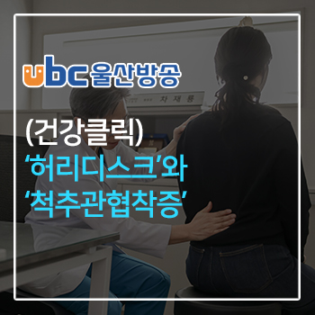 (건강클릭) '허리디스크'와 '척추관협착증' 이미지